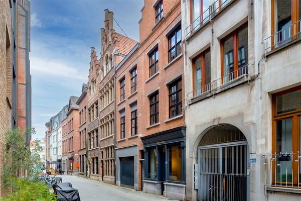 Twee historische huizen met stadstuin en dubbele garage in hartje Antwerpen
