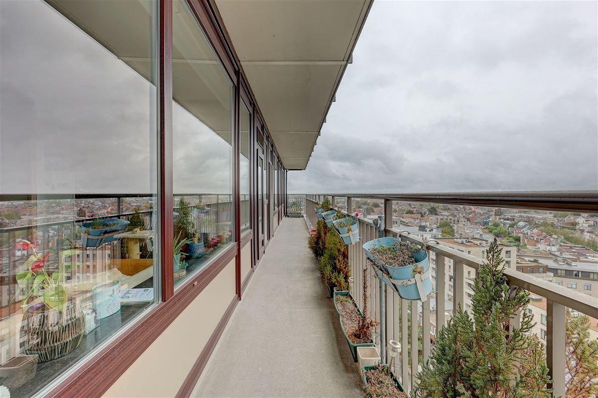 Lichtrijk appartement met drie slaapkamers en terras in Wilrijk