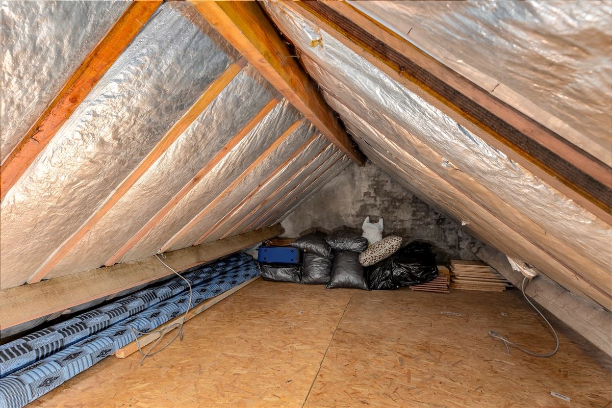 Ruime woning met 4/5 slpk en magazijn