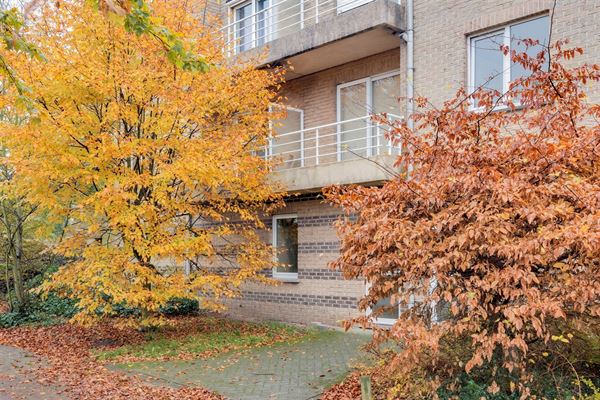 Instapklaar appartement met twee terrassen