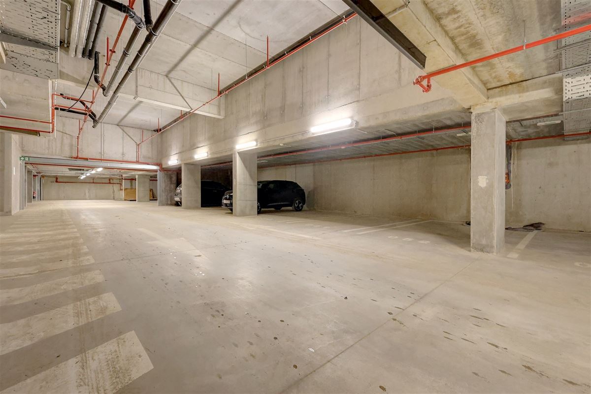 Staanplaats + kelderberging te huur in Wilrijk