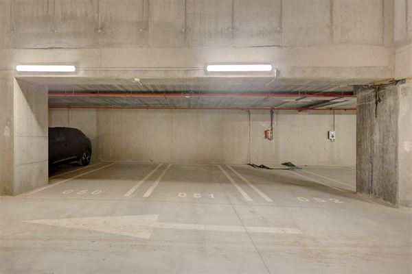 Staanplaats + kelderberging te huur in Wilrijk