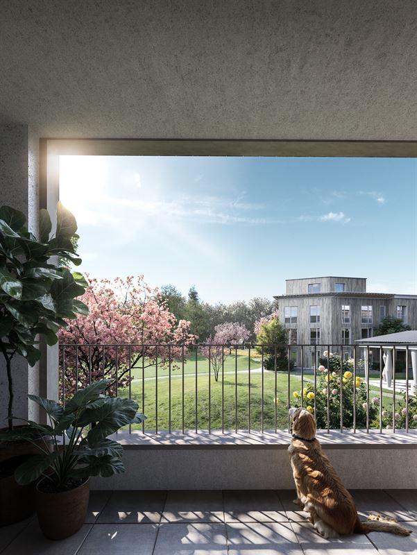 Benedicte - appartementen