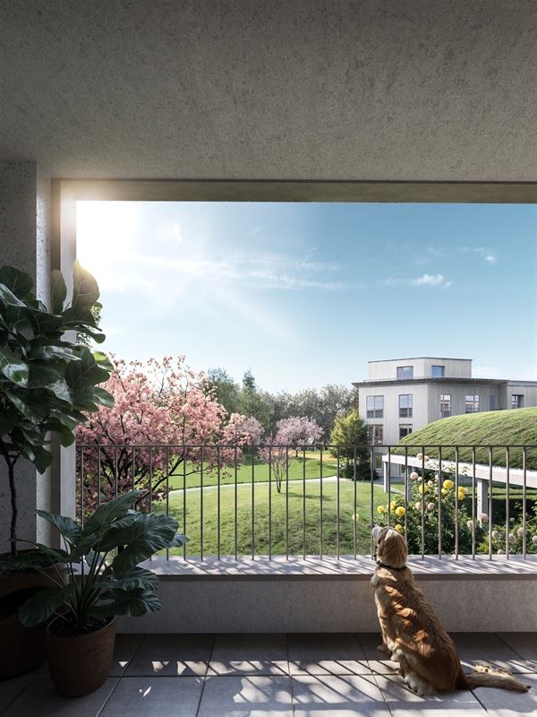 Gelijkvloers appartement met tuin en twee terrassen