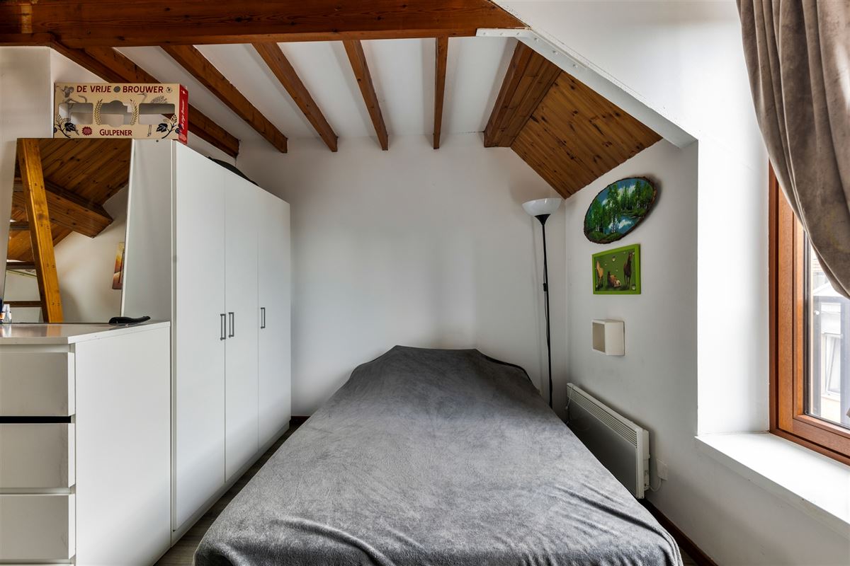 Opbrengsteigendom met garage en 3 studio's centrum Antwerpen