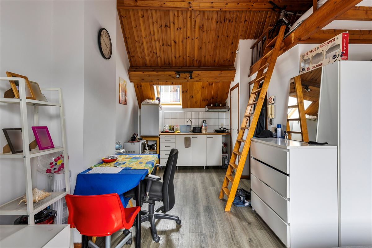 Opbrengsteigendom met garage en 3 studio's centrum Antwerpen