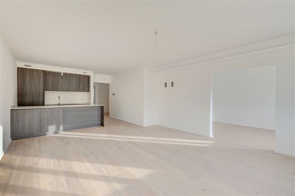 Nieuwbouw dakappartement met 2-3 slpks en terras Markgravewijk