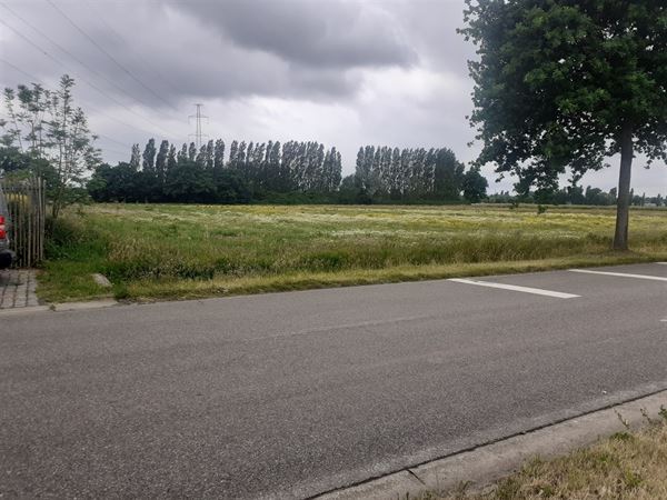 Landbouwgrond van ca 26.000 m² te Lier