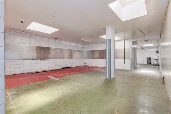 Handelsgelijkvloersca 180 m² met tuin van 70 m²