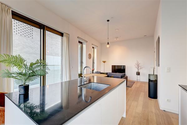 Lichtrijk appartement met 2 terrassen op het Nieuw Zuid in Antwerpen