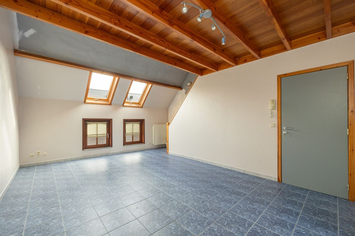 Ruime woonst, polyvalente ruimte, studio en garage