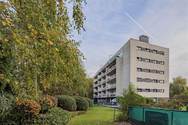 Ruim 2 slpk appartement, terras en P te Hoboken