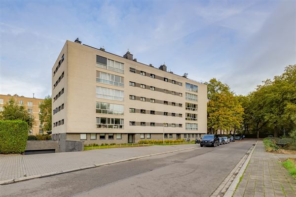 Ruim 2 slpk appartement, terras en P te Hoboken