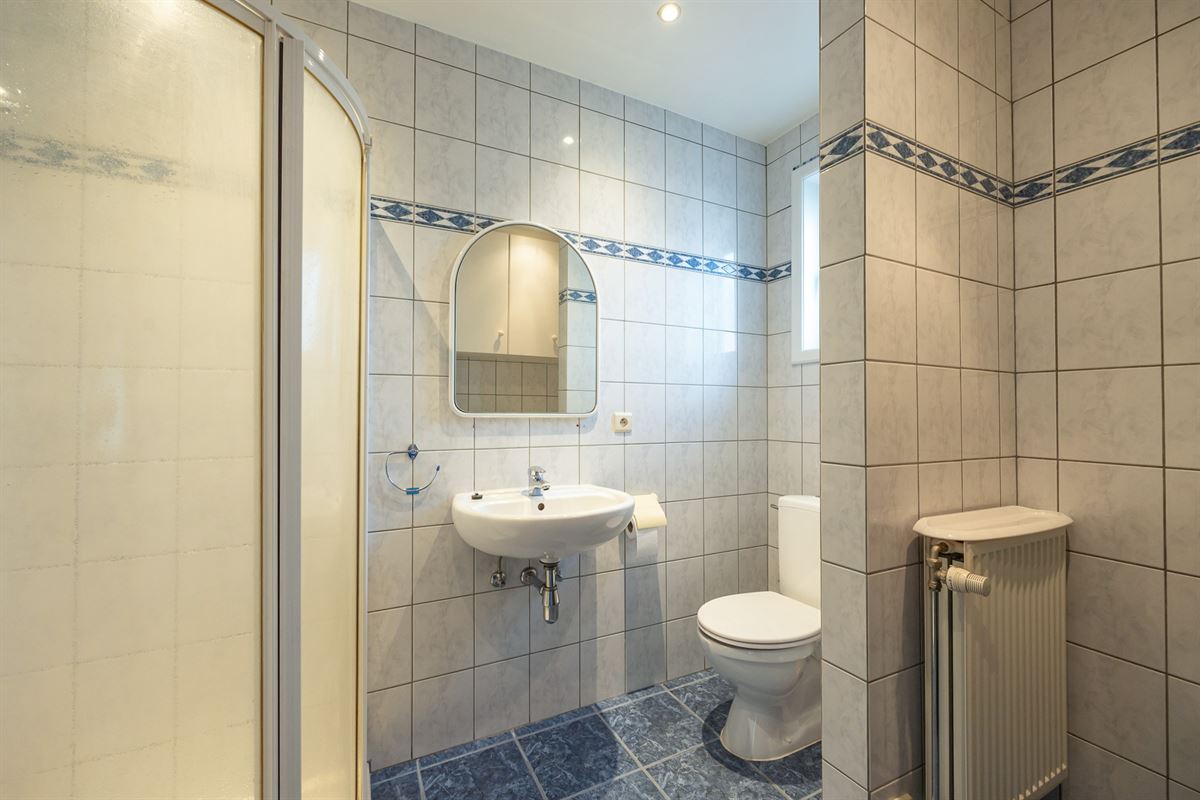 Ruime woonst, polyvalente ruimte, studio en garage