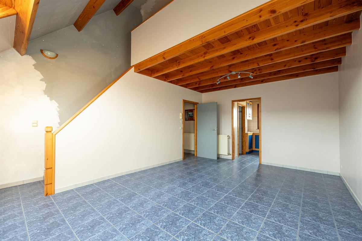 Ruime woonst, polyvalente ruimte, studio en garage