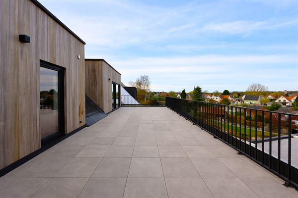 Luxe penthouse met 3 slaapkamers en 50m² zonneterras in Ranst