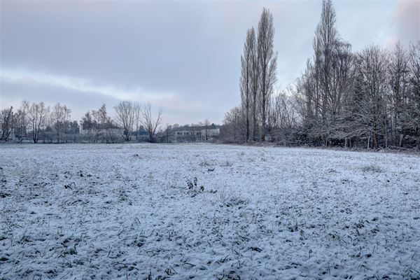 Idyllische paardenweide / bosgrond in Bonheiden