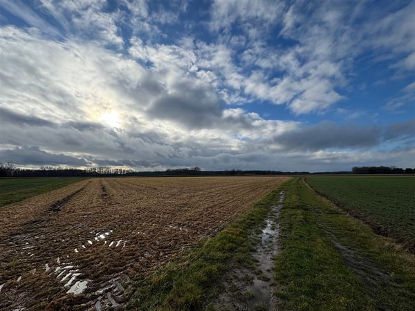 Landbouwgrond op 50 are in Rotselaar