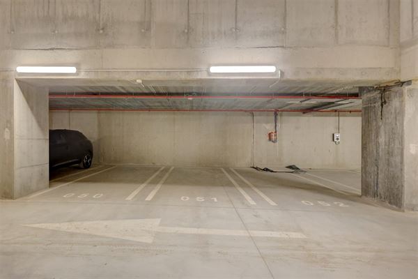 Staanplaats + kelderberging te huur in Wilrijk