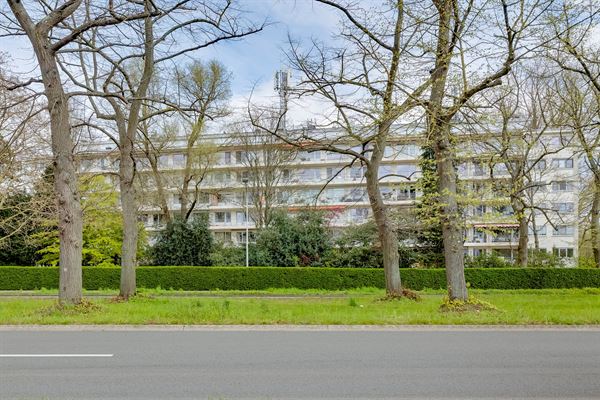 Gerenoveerd 1-slaapappartement met terras te Edegem