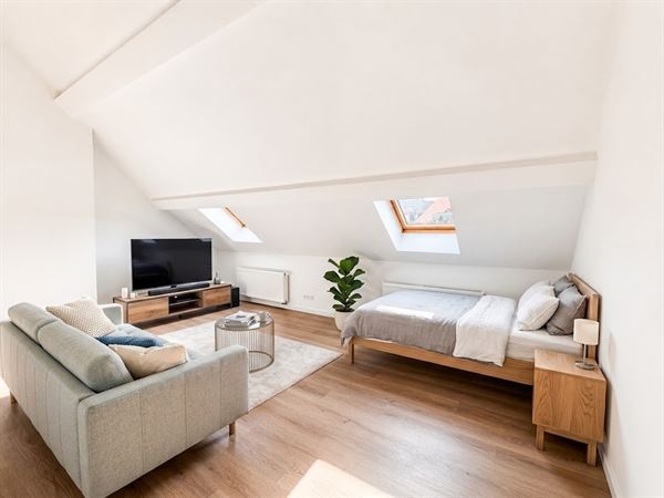 Instapklare gerenoveerde studio te Antwerpen