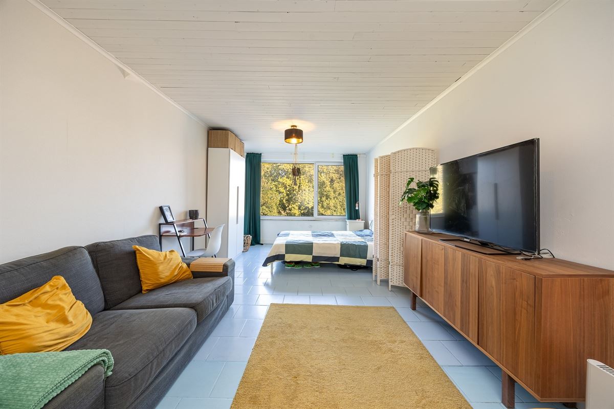 Studio met staanplaats en zicht op het park