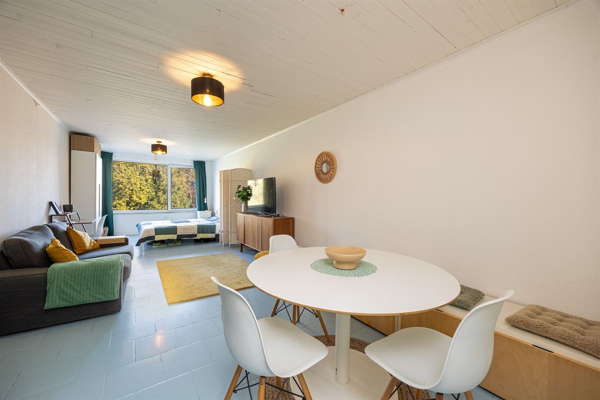 Studio met staanplaats en zicht op het park