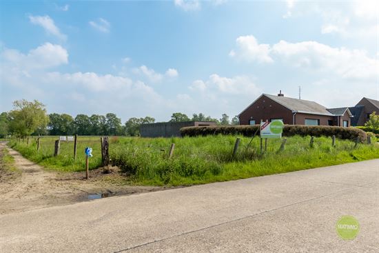 Ruime bouwgrond voor open bebouwing in Olmen