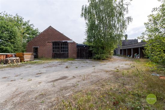 Veelzijdige magazijnruimte op ruim perceel in Mol-Rauw