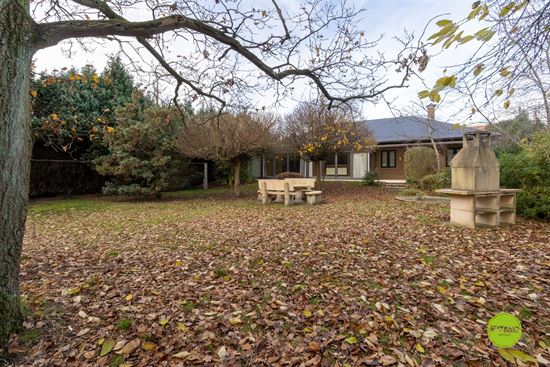 Gelijkvloerse woning met grote tuin in Leopoldsburg