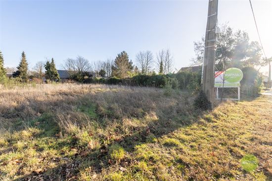 Bouwgrond voor open bebouwing in Balen-Wezel