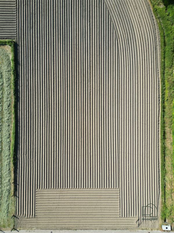 Landbouwgrond in Zemst/Hombeek - 1,5 ha