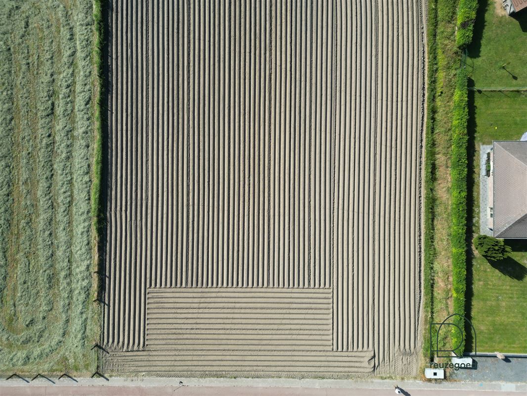 Landbouwgrond in Zemst/Hombeek - 1,5 ha