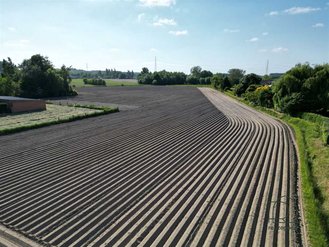 Landbouwgrond in Zemst/Hombeek - 1,5 ha