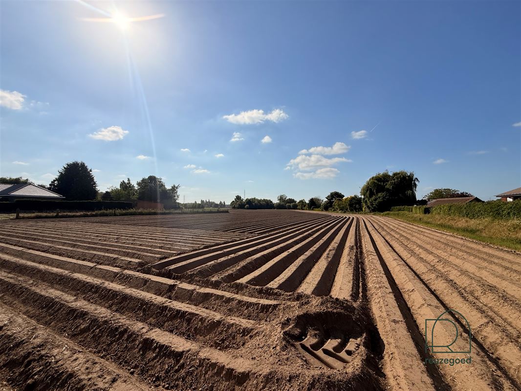 Landbouwgrond in Zemst/Hombeek - 1,5 ha