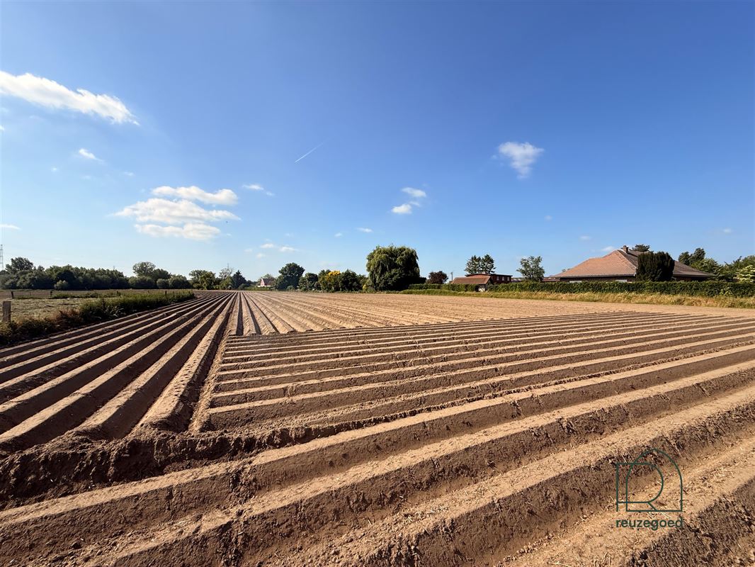 Landbouwgrond in Zemst/Hombeek - 1,5 ha