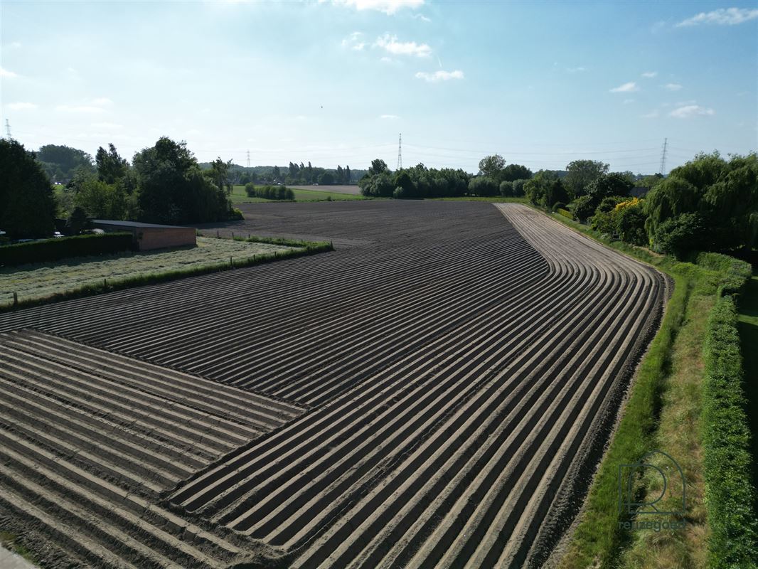 Landbouwgrond in Zemst/Hombeek - 1,5 ha