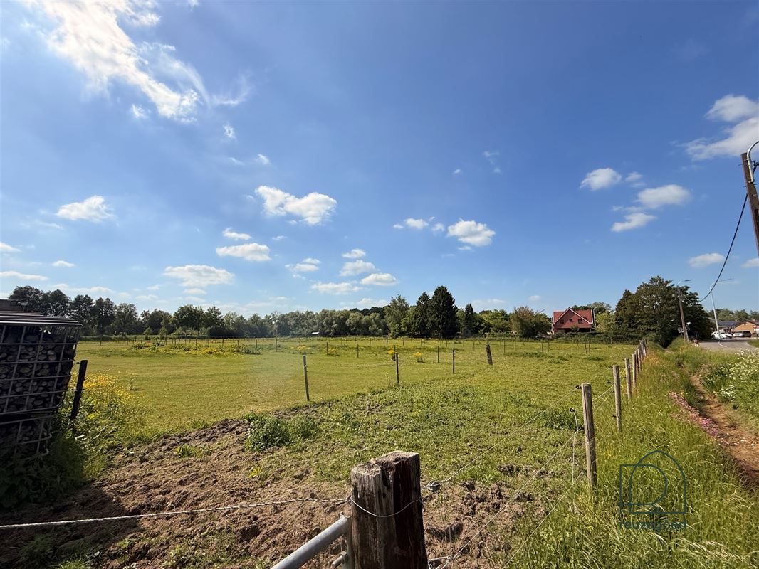 Landbouwgrond in Boortmeerbeek - paardenweide - 2,5 ha
