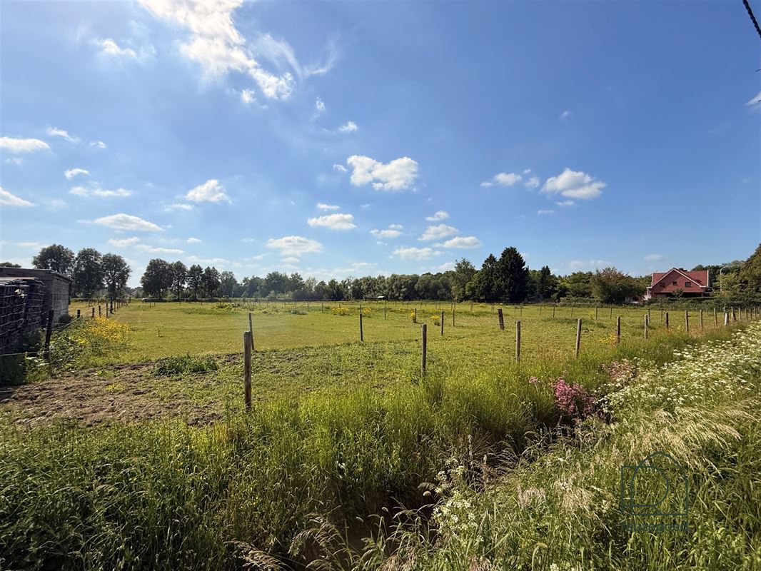 Landbouwgrond in Boortmeerbeek - paardenweide - 2,5 ha