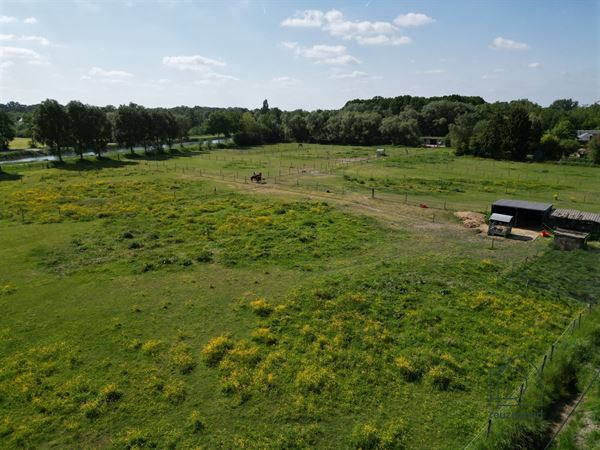 Landbouwgrond in Boortmeerbeek - paardenweide - 2,5 ha