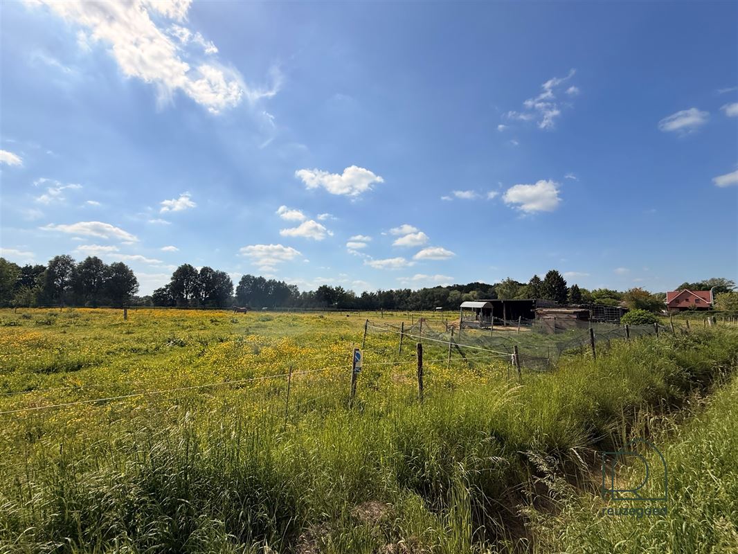 Landbouwgrond in Boortmeerbeek - paardenweide - 2,5 ha