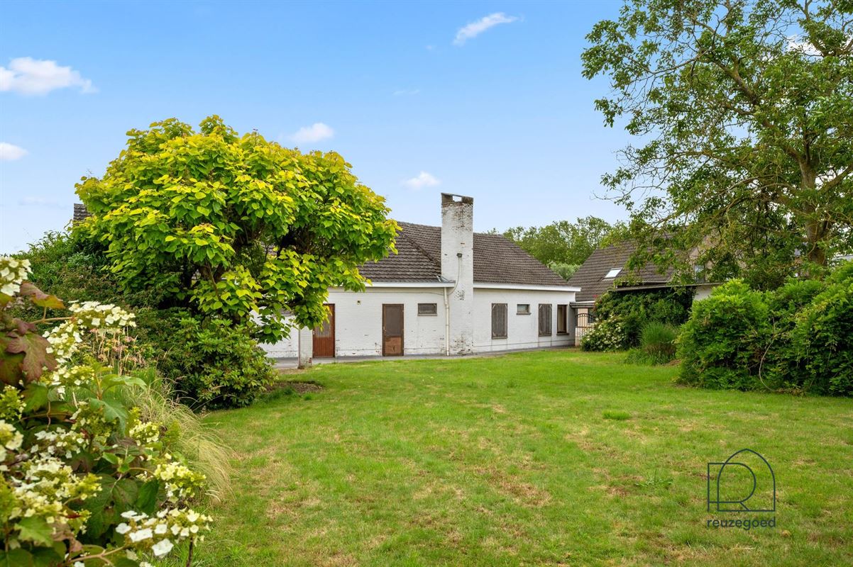 Gelijkvloerse villa te koop in Hombeek - rust, ruimte en potentieel