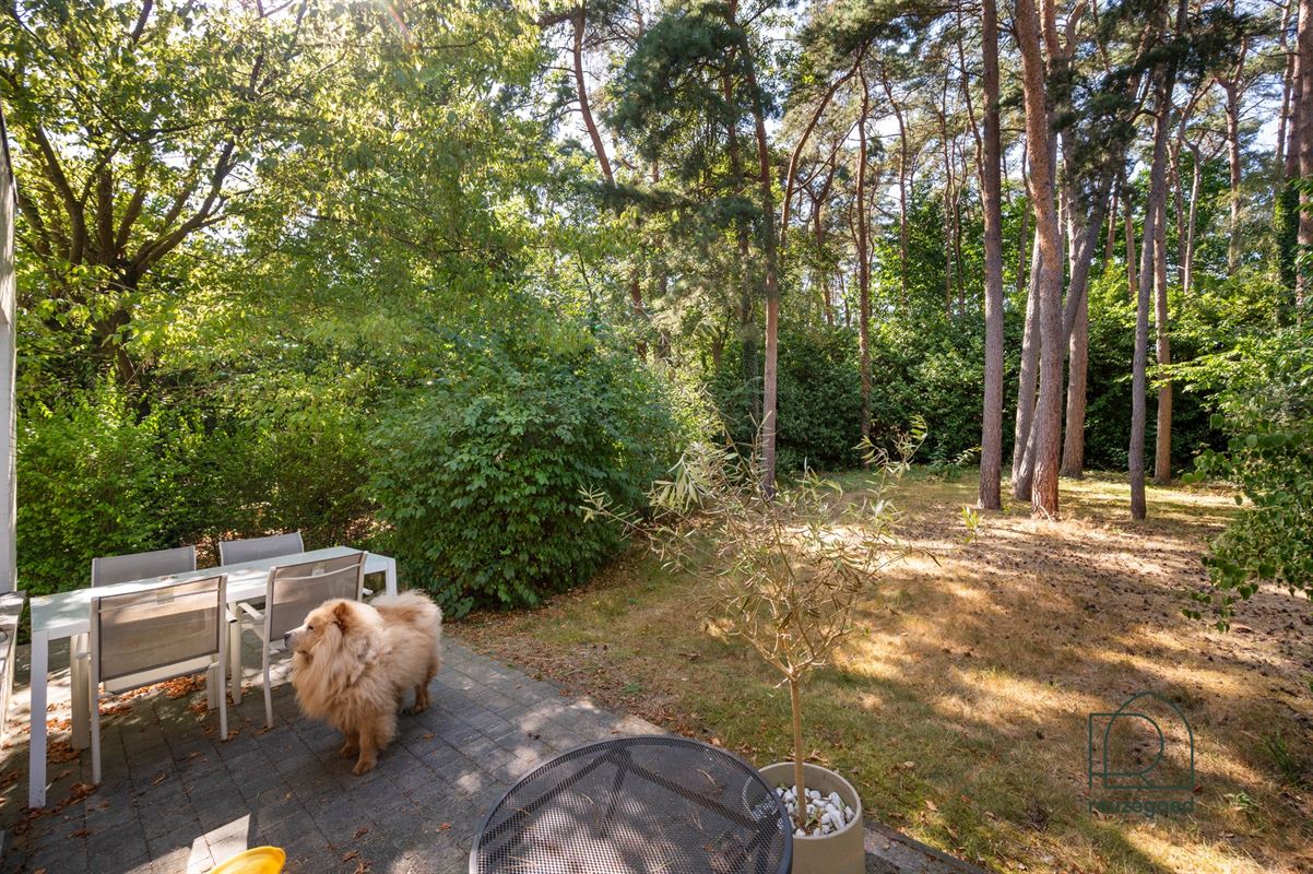 Charmante gerenoveerde open bebouwing op een prachtig perceel