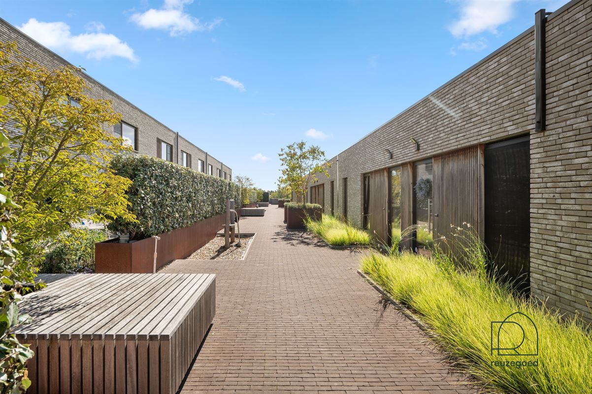 Uniek duplexappartement (3 slpk) met huisgevoel, groene daktuin en zicht op de velden in Kortessem