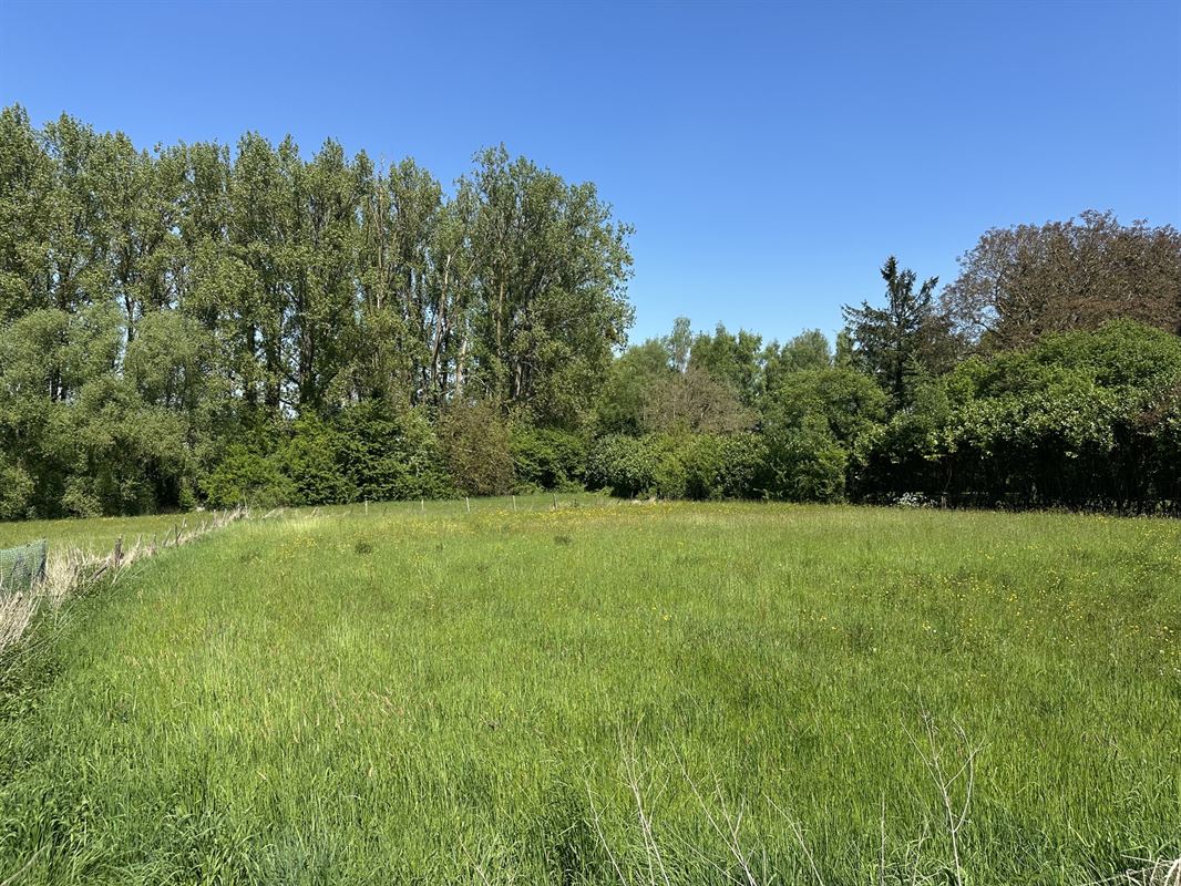 Très beau terrain