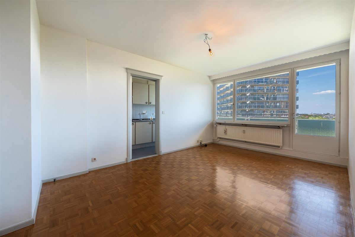 1 slaapkamer appartement met schitterend uitzicht op Gent