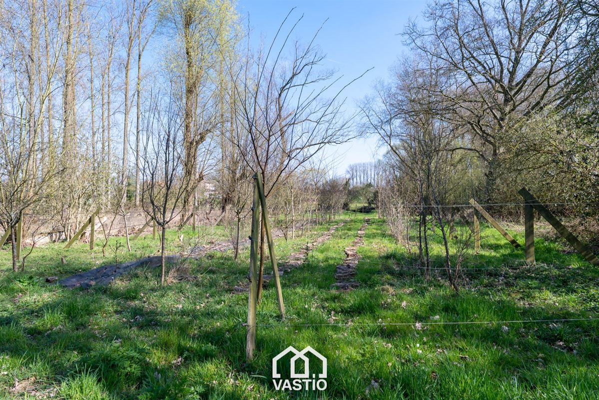 Pasture land of 12,980 m² for sale - Free from leasehold