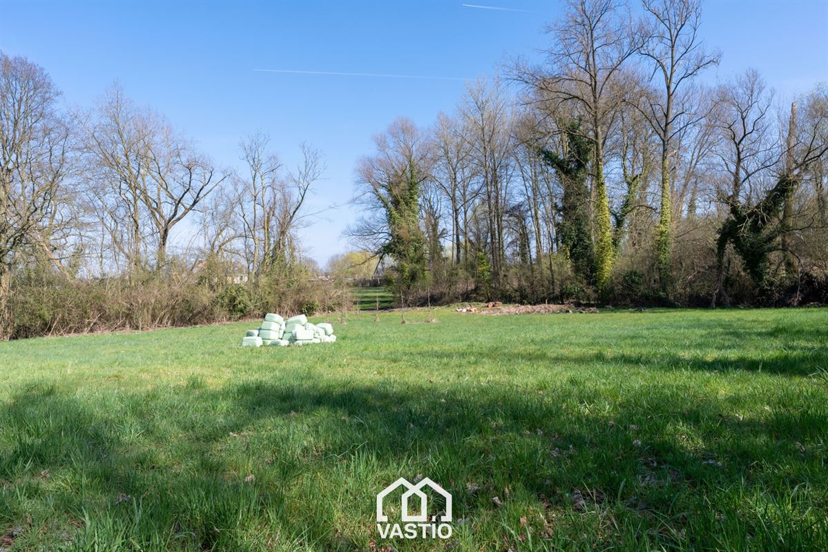 Pasture land of 12,980 m² for sale - Free from leasehold