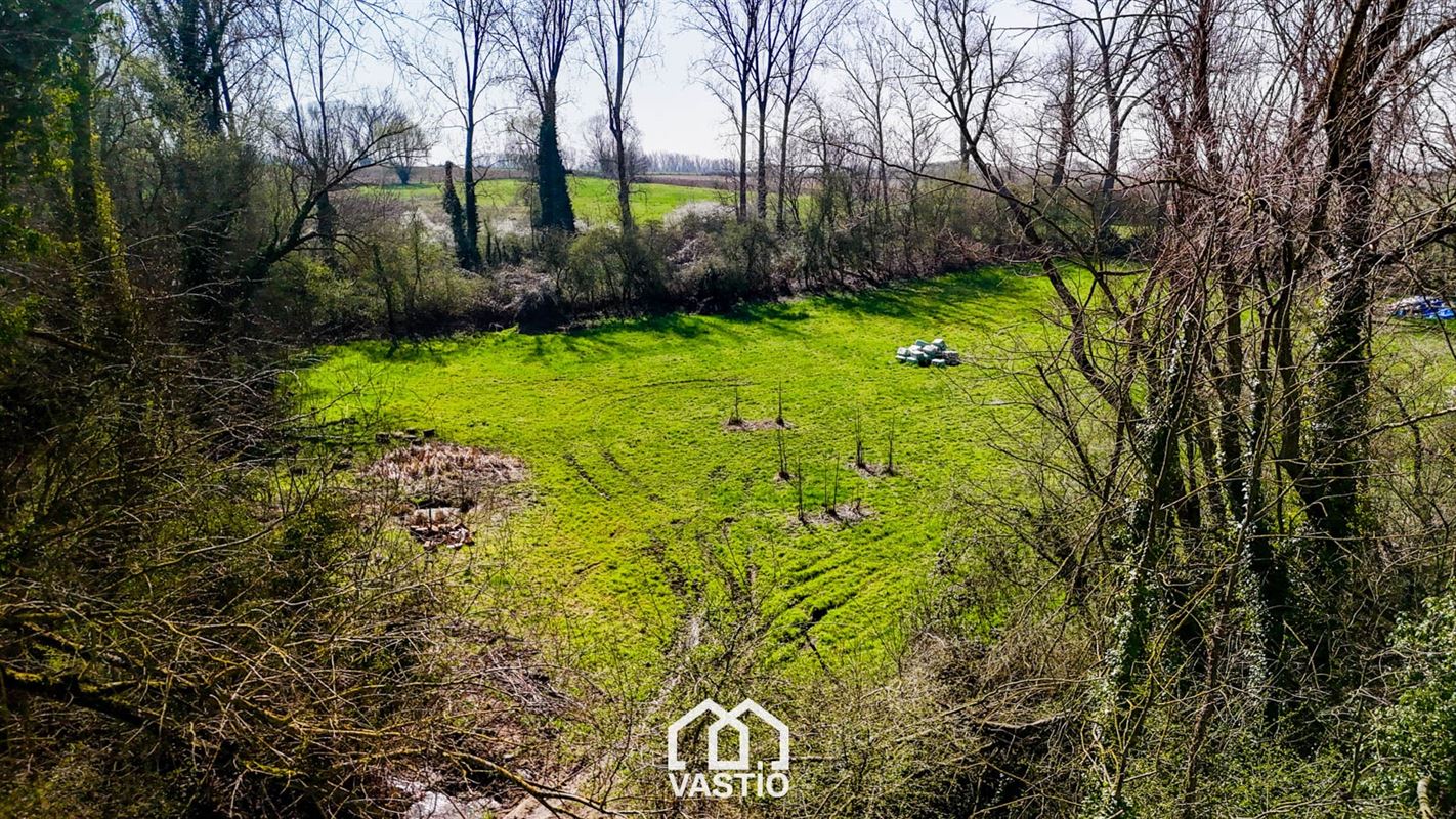 Pasture land of 12,980 m² for sale - Free from leasehold