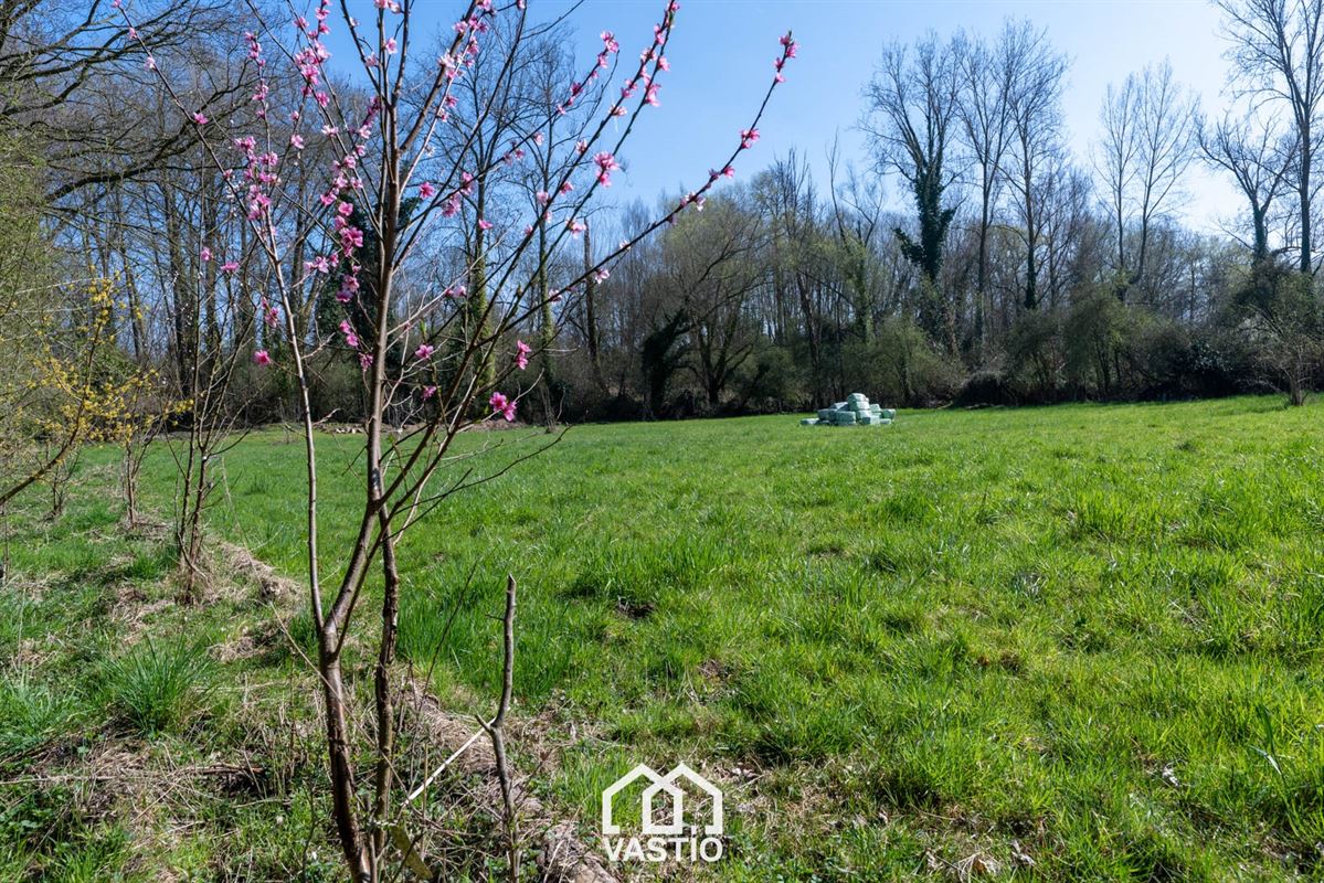 Pasture land of 12,980 m² for sale - Free from leasehold